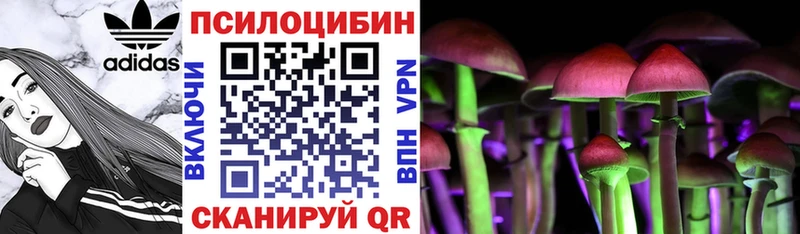 Псилоцибиновые грибы прущие грибы  Ртищево 