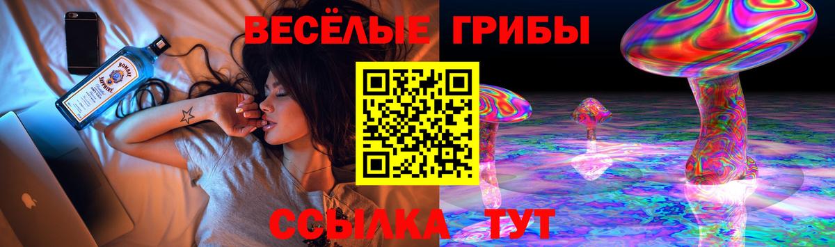 Псилоцибиновые грибы Psilocybine cubensis Ртищево