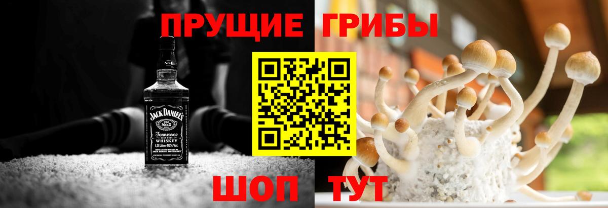 Галлюциногенные грибы мухоморы  купить закладку  Ртищево  Вход с VPN  Псилоцибиновые грибы мухоморы 